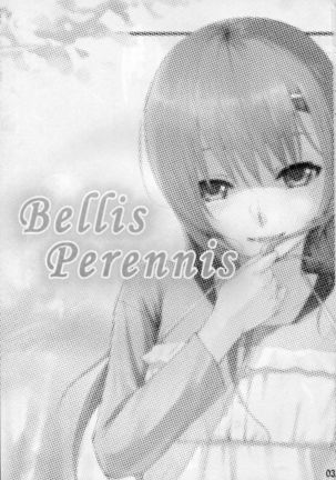 Bellis Perennis Page #3