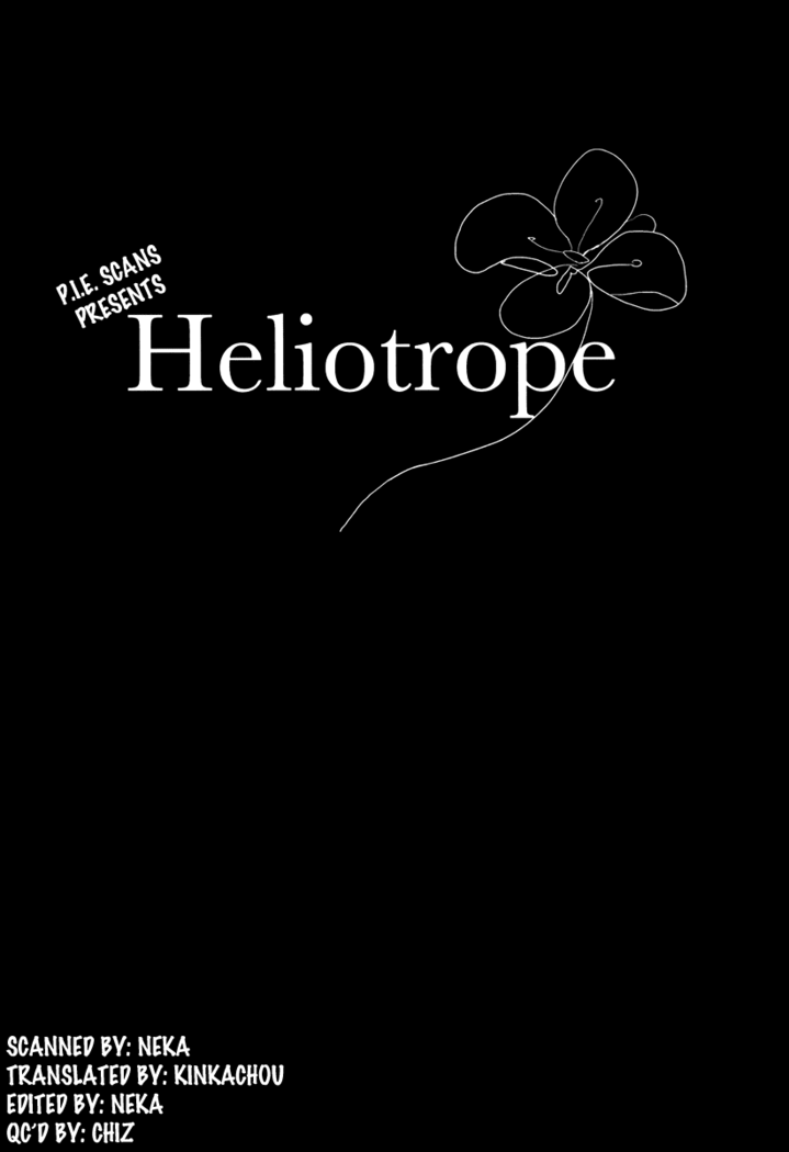 Heliotrope