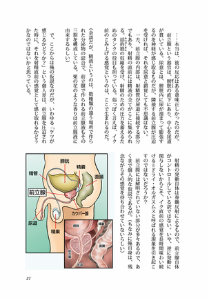 フィジカル メンテナンス - Page 36