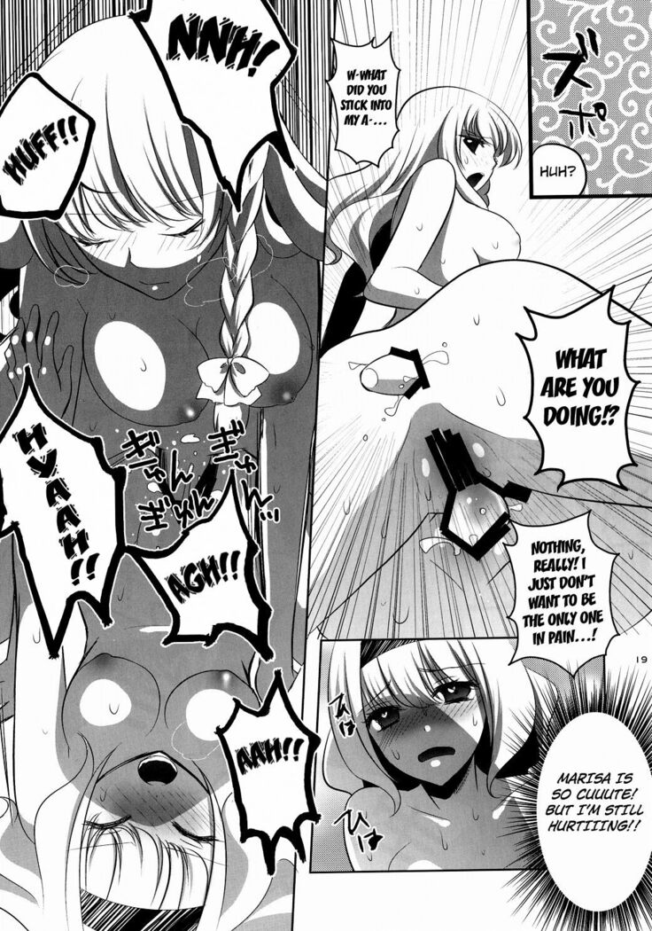 Marisa wa Kinoko Power wo Te ni Ireta!
