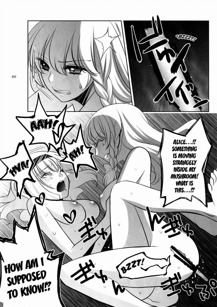 Marisa wa Kinoko Power wo Te ni Ireta!