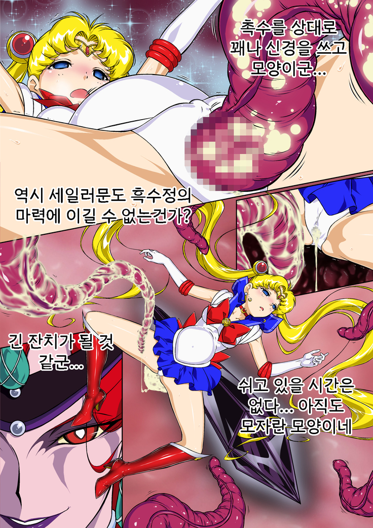 Sailor Moon Chu! | 세일러문 츄!