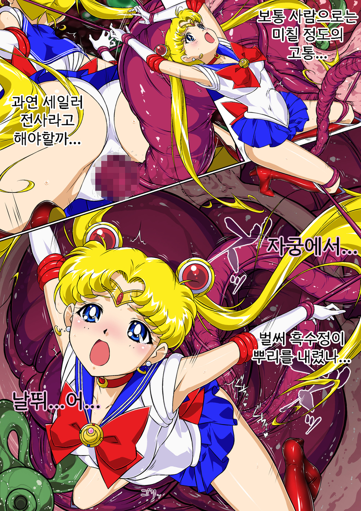 Sailor Moon Chu! | 세일러문 츄!