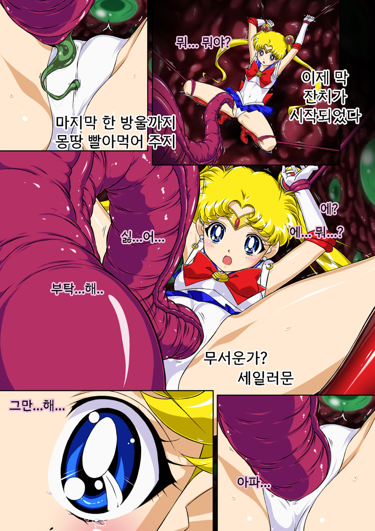 Sailor Moon Chu! | 세일러문 츄!