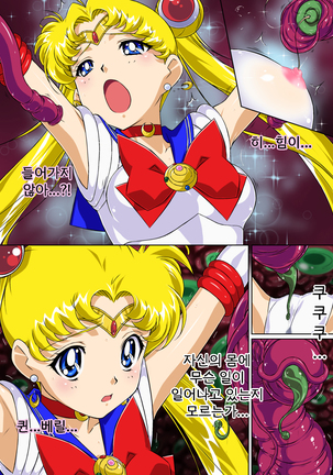 Sailor Moon Chu! | 세일러문 츄! Page #14