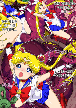 Sailor Moon Chu! | 세일러문 츄! Page #18