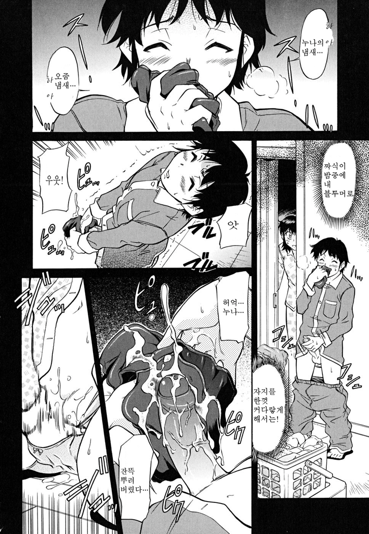 Inner Equal Bloomers
