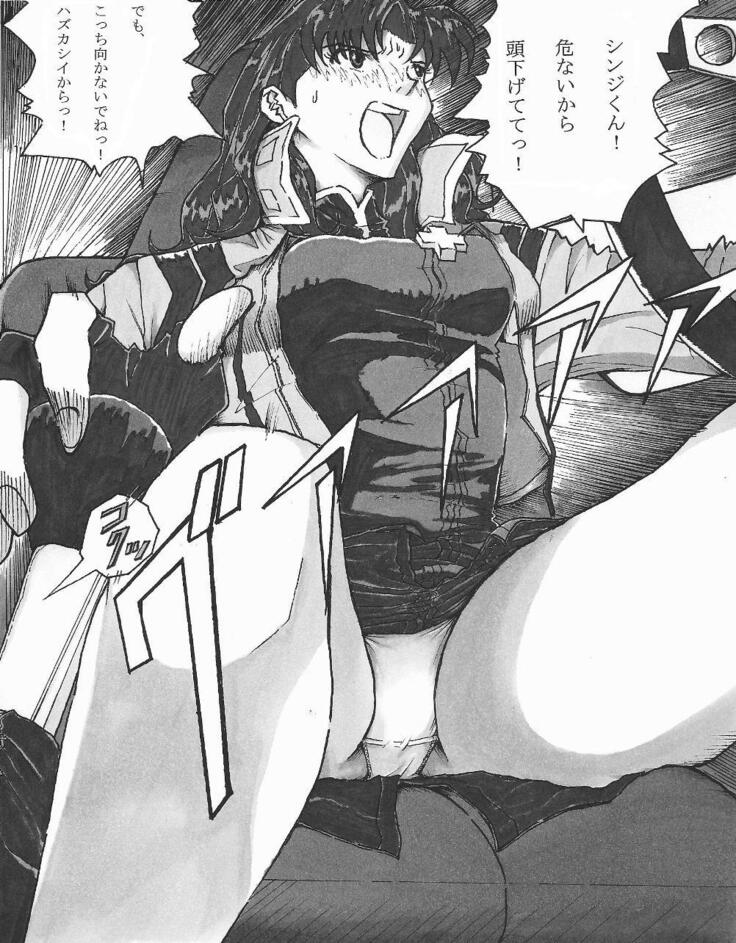 Be Avenged on Misato Katsuragi
