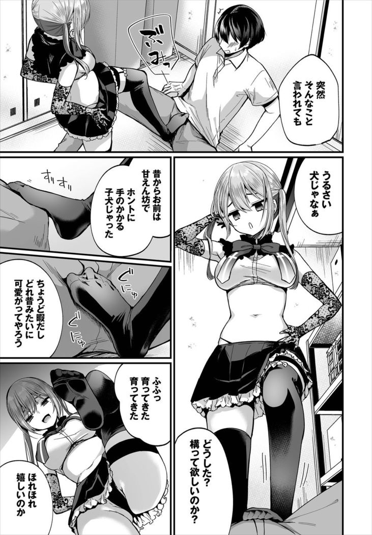 Dascomi Vol.10
