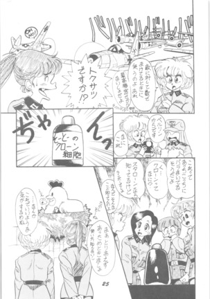 Sieg Heil Page #24