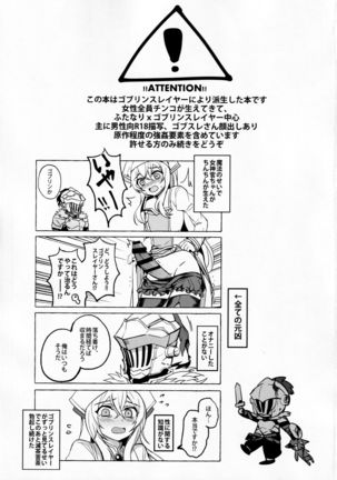 Goblin Slayer-san no Ero Hon. Page #3