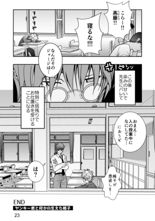 Yanki kun to nanika no haeta isu - Page 23