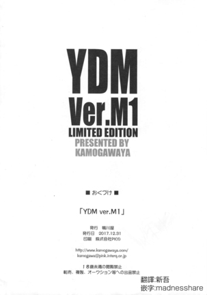 YDM ver.M1 - Page 13