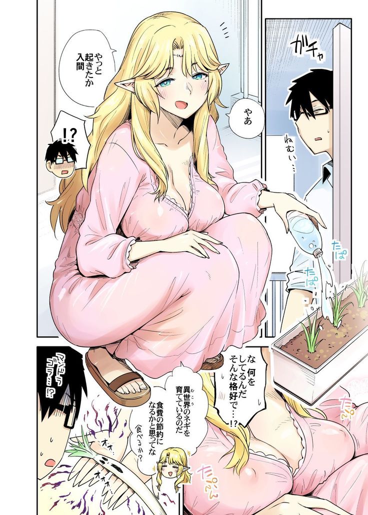 Rinjin Elf Manga