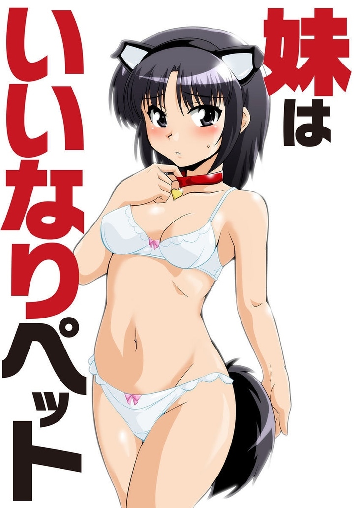 Shirouto Toukou Taiken Joshikousei Roshutsu Inkou Densha