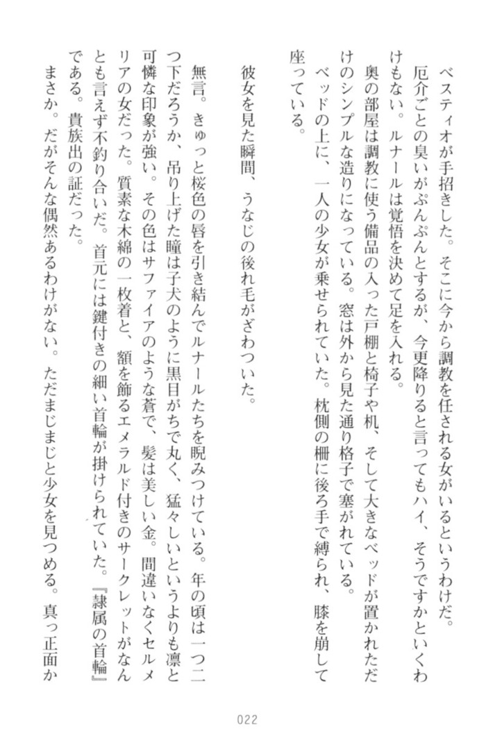 調教師と初恋の戦乙女