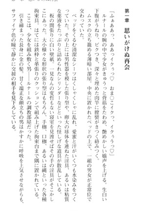 調教師と初恋の戦乙女 Page #17