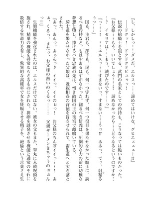 イセリア英雄戦記４【購入特典】 - Page 26