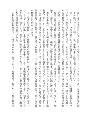 イセリア英雄戦記４【購入特典】 - Page 22