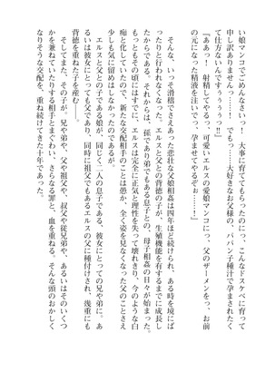 イセリア英雄戦記４【購入特典】 - Page 28