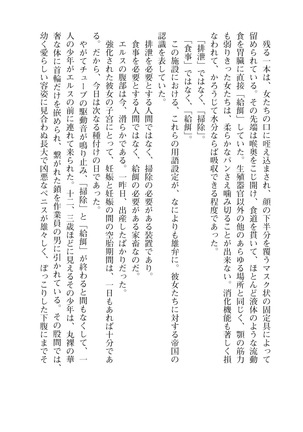 イセリア英雄戦記４【購入特典】 - Page 30