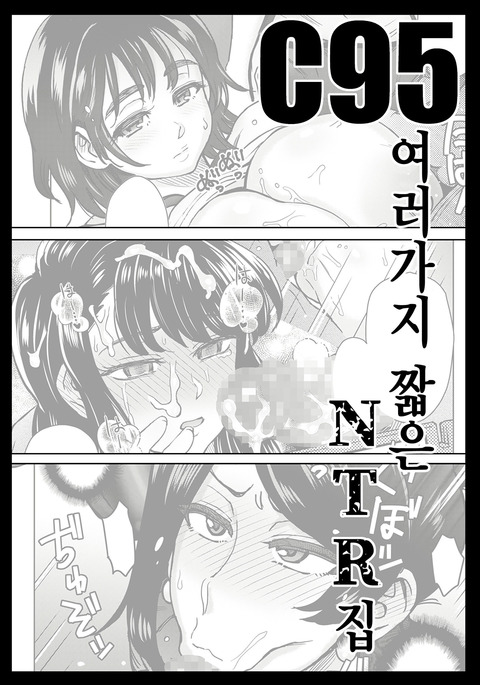 C95 Yorozu NTR Short Manga Shuu | C95 여러가지 짧은 NTR 집