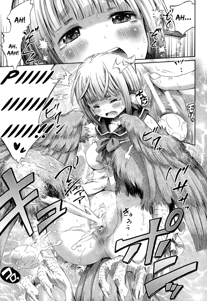 Harpy no Manabiya ~Kashimashi Class~ | Harpy School ~Noisy Class~