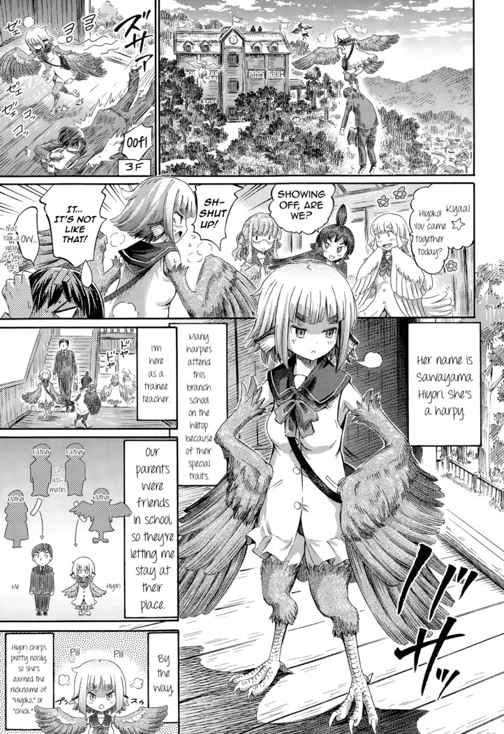 Harpy no Manabiya ~Kashimashi Class~ | Harpy School ~Noisy Class~