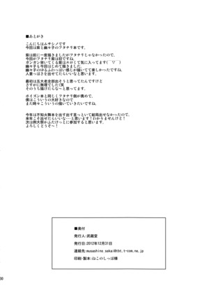 Futanarix Touhou - Mayohiga hen - Page 29