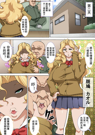 Chuunen Oyaji ga Futari no Bitch to Sex Suru Hanashi. - Page 17