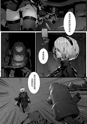 Image 14316950