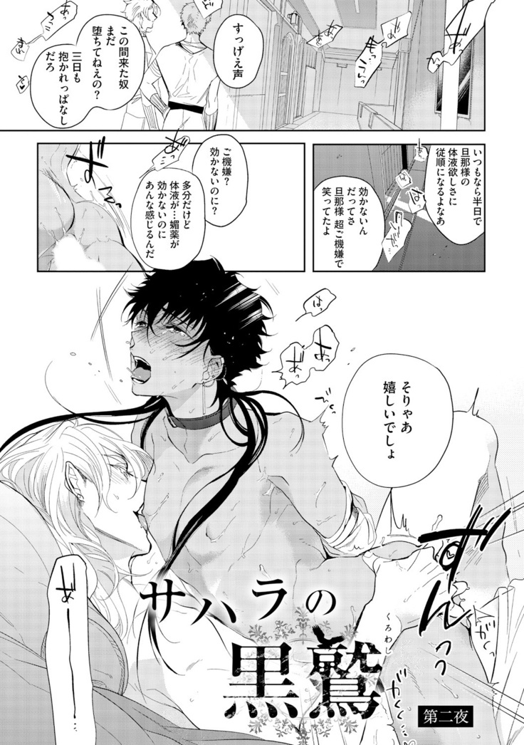 Sahara no Kurowashi