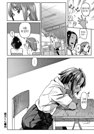 DOLLS Jun Nikutai Kankei Page #137