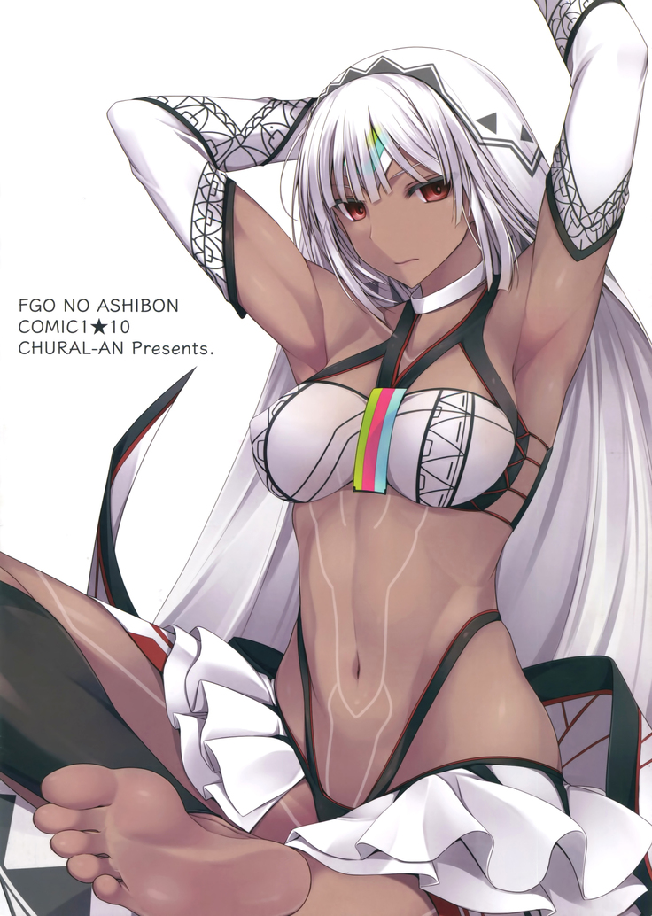 FGO No Ashibon | FGO Foot-Book