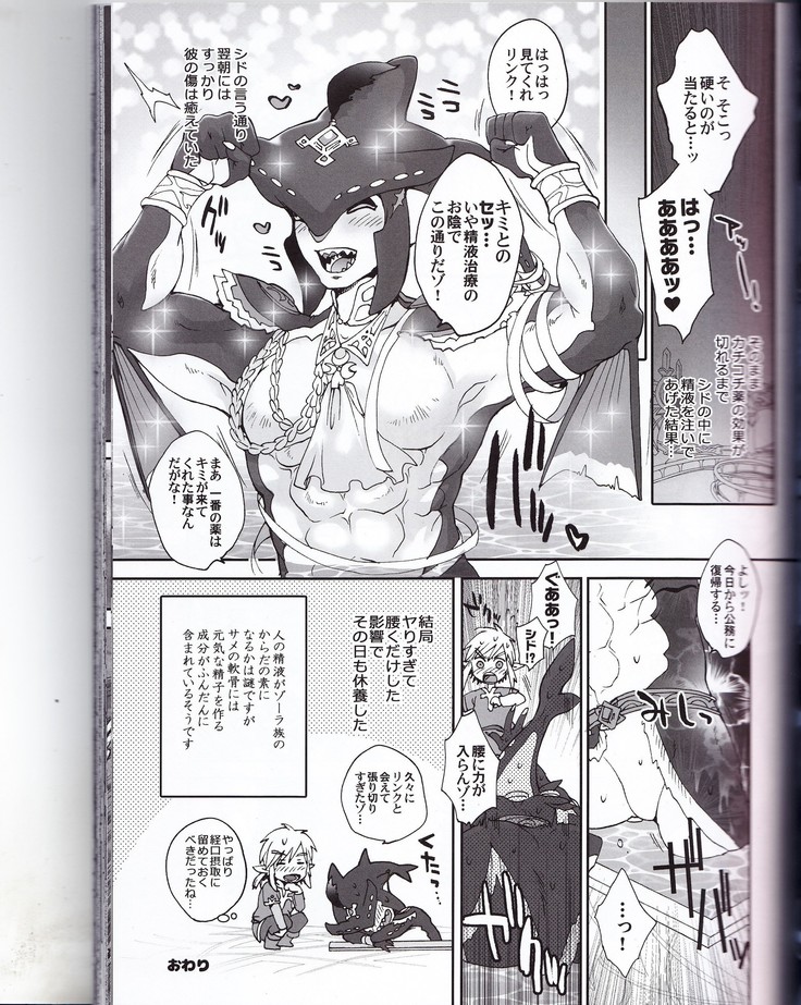 ゾーラの契り滝のぼりックスは最高だゾ！