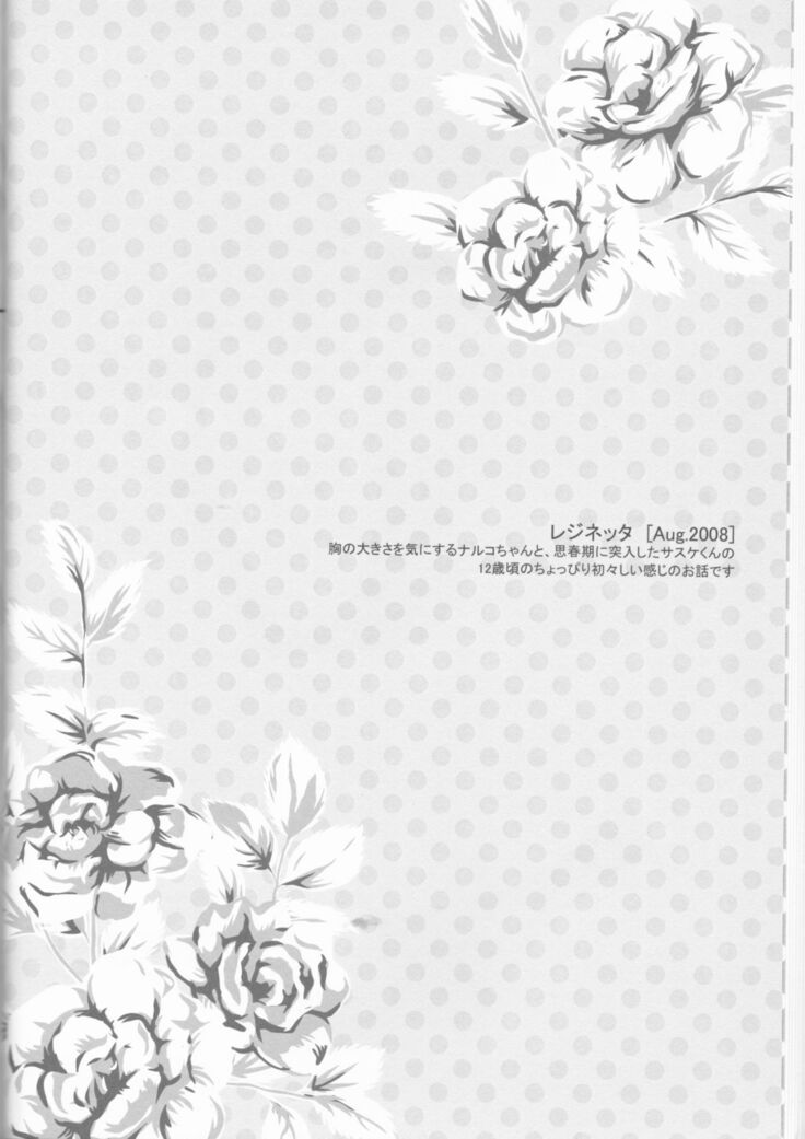 Dream Passport