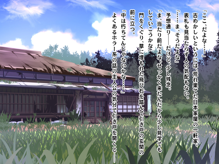 Nadeshiko!!~Haioku ni Sumu Inran Yamato Nadeshiko to Asa Kara Ban Made Nadenade Shikoshiko~