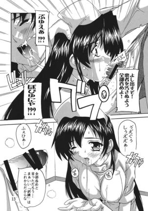 Chikan Ishi Soushuuhen Page #13