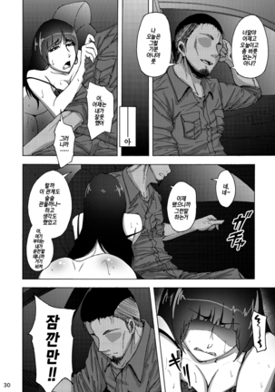 Nishizumi Shiho no Shirubeki ja Nakatta Koto chuu - Page 29