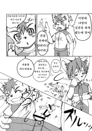 W/P Page #8