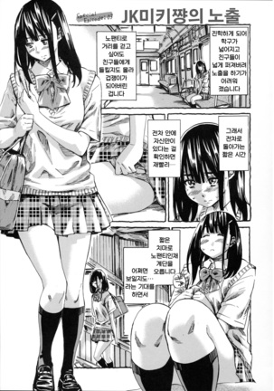 Kashiwazaki Miki wa Ironna Basho de Zenra Sanpo Shite Mita. Page #133