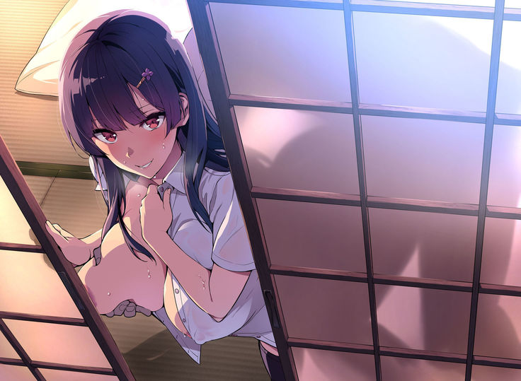 Sister Breeder ~Melonbooks Gentei Tokuten~ + Doujin Cover