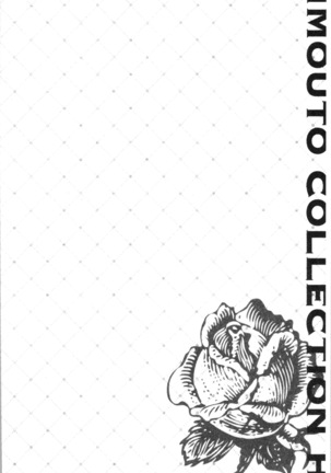 いもうとコレクションH Page #133