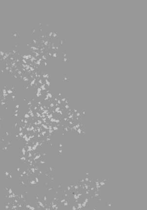 Image 11937457