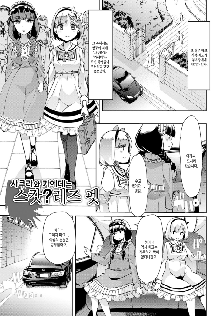 Ecchi na Omutsukko wa Suki desu ka? | 야한 기저귀 소녀는 좋아하세요?