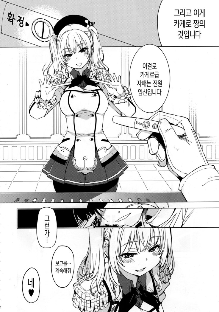Hishokan Kashima no Houkokusho | 비서함 카시마의 보고서