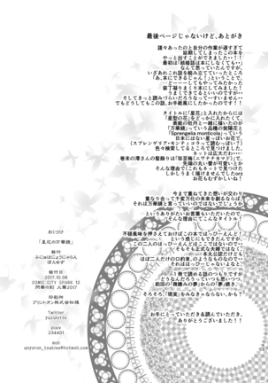 星花の万華鏡 Page #53