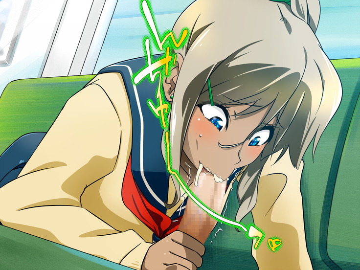 女の子だって性欲が抑えきれないときもある！ inチ○チン電車