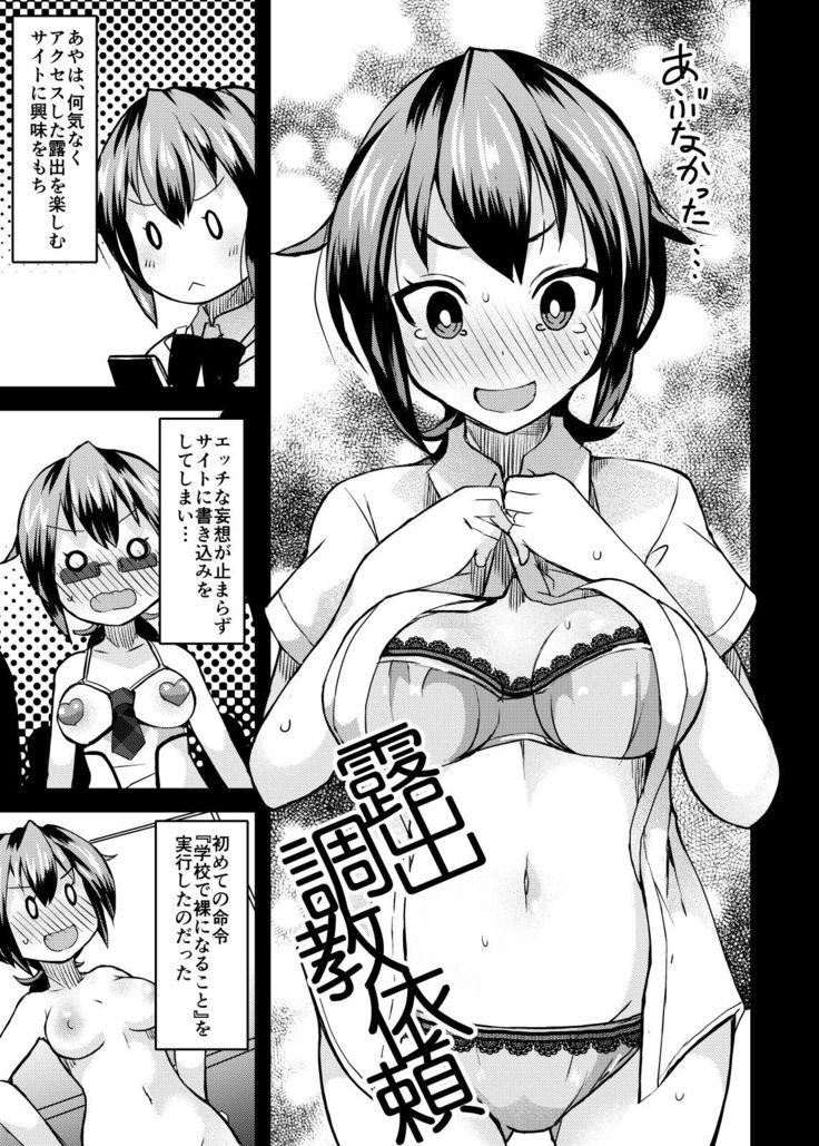 Roshutsu Choukyou Irai 2
