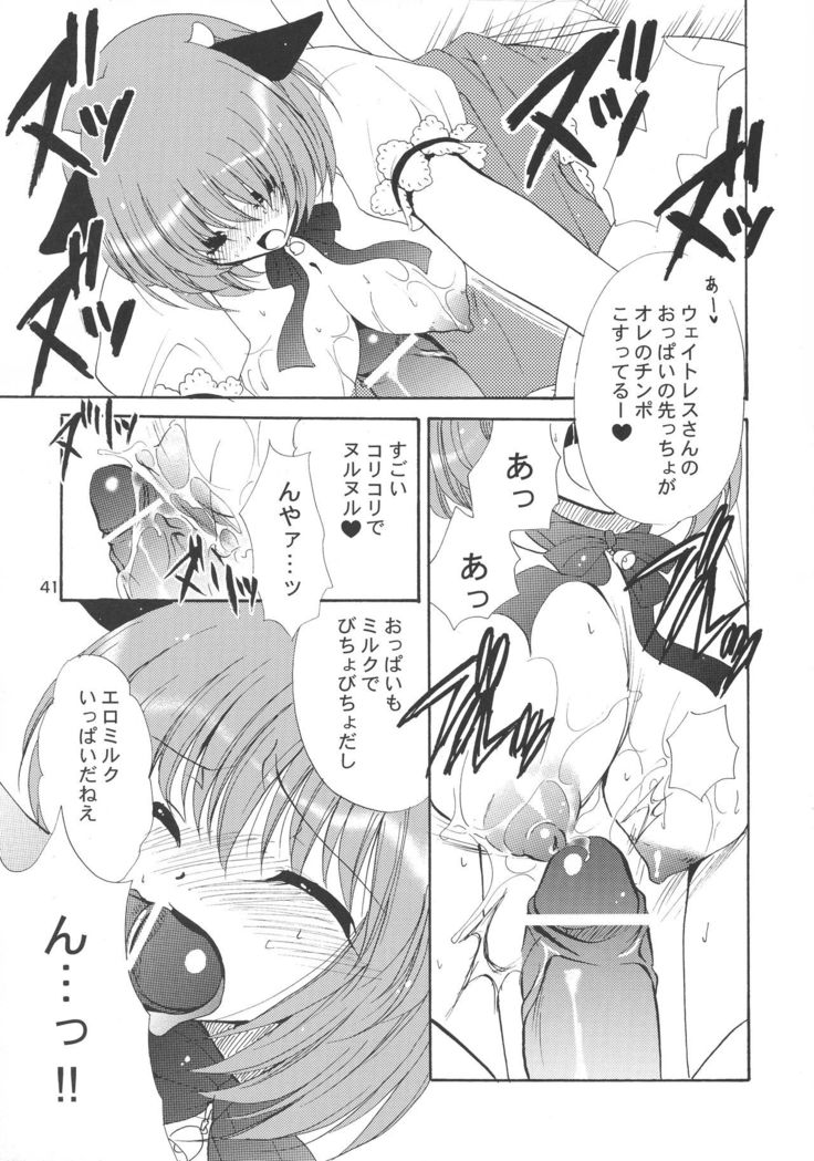 Ushi Matsuri